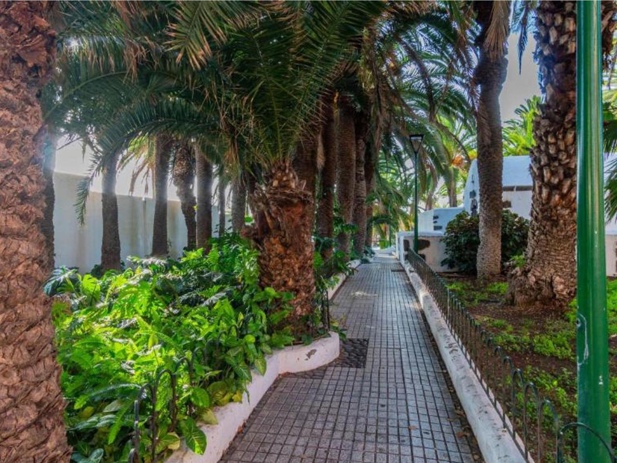 Live Puerto Valle Luz Puerto de la Cruz  Exterior foto